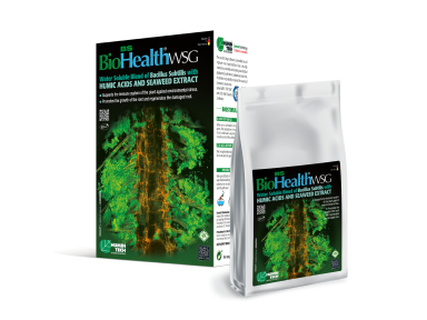 BioHealth® BS WSG biostimuliantinės organinės trąšos 1 kg, 10 kg BioHealth® BS WSG biostimuliantinės organinės trąšos 1 kg, 10 kg