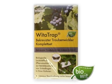 Gaugyklė nuo europinės vynuogių kandies WitaTrap® (Lobesia botrana)