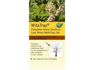Gaudyklė nuo kaštoninės keršakandės WitaTrap® (Cameraria ohridella)