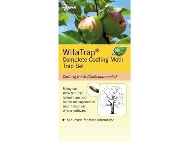 Gaudyklė obuoliniam vaisėdžiui WitaTrap (Cydia pomonella)